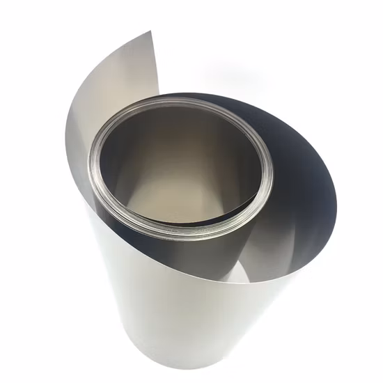 Prezzo economico Pure Ta1 R050200 Striscia di tantalio